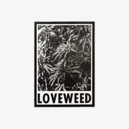 Loveweed by Wallace Berman at JRP|Editions