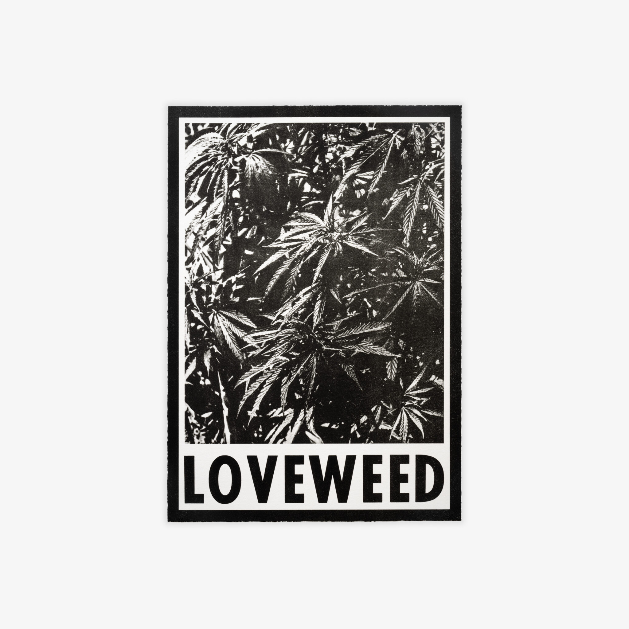 Loveweed by Wallace Berman