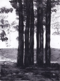 L.P.I. Meditation by Sarah Klahn at Oehme Graphics