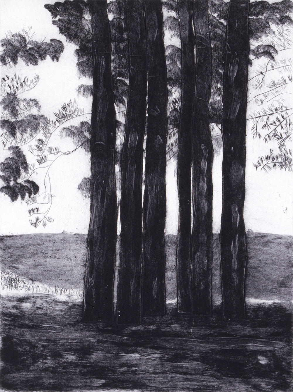 L.P.I. Meditation by Sarah Klahn