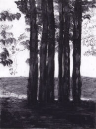 L.P.I. Meditation by Sarah Klahn at Oehme Graphics