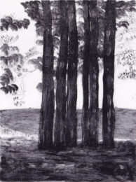 L.P.I. Meditation by Sarah Klahn at Oehme Graphics