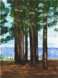L.P.I. Summer Vacation by Sarah Klahn at Oehme Graphics