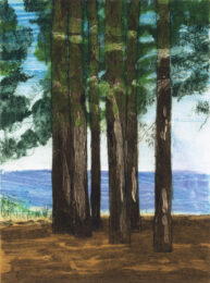 L.P.I. Summer Vacation by Sarah Klahn at Oehme Graphics