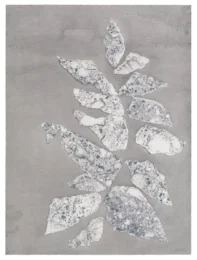 Leaflet 2 by Sam Moyer at ULAE