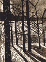 Moonlight Pond by Sarah Klahn at Oehme Graphics