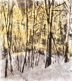 Mqt Mtn – Autumn by Sarah Klahn at Oehme Graphics