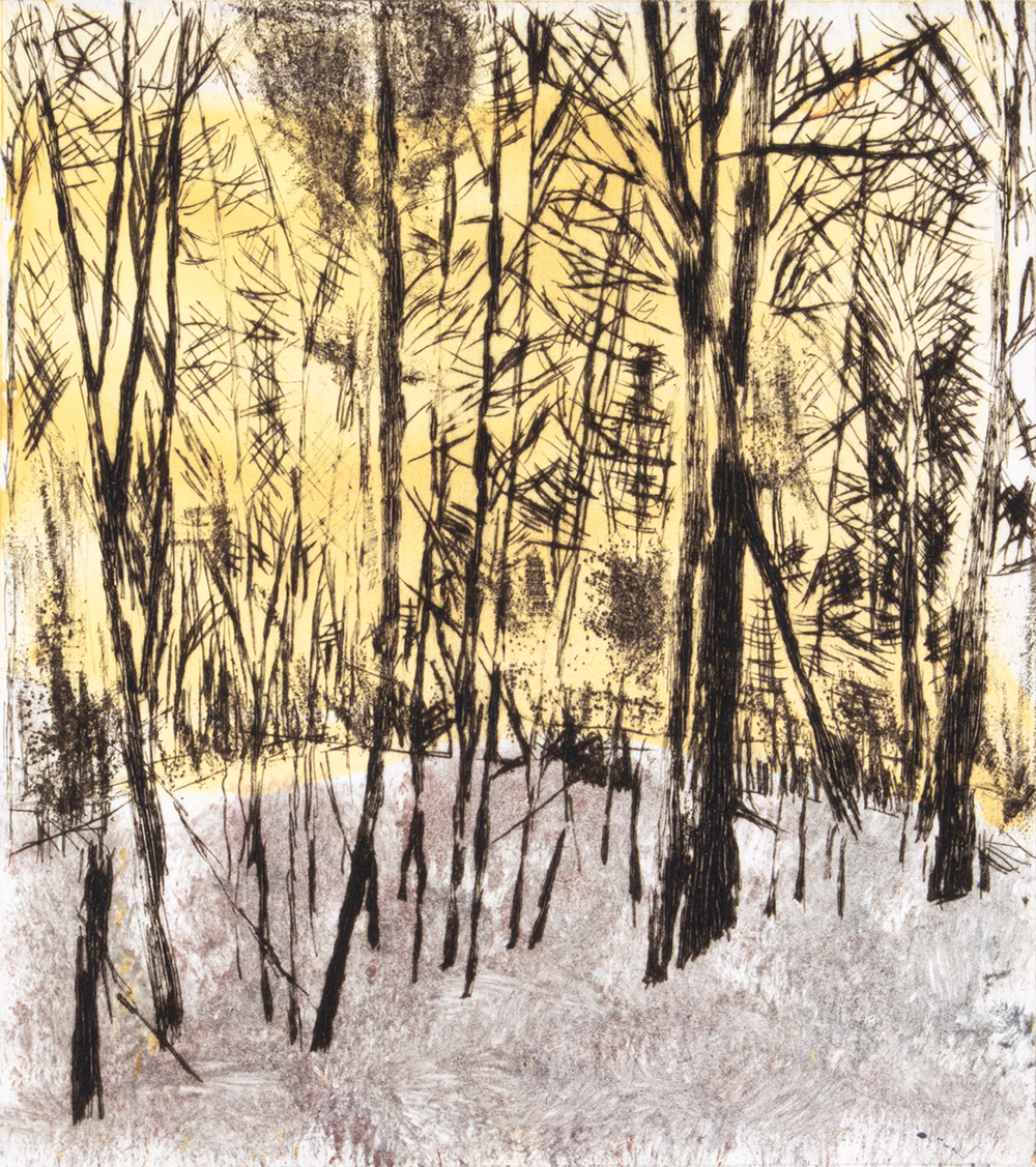 Mqt Mtn – Autumn by Sarah Klahn