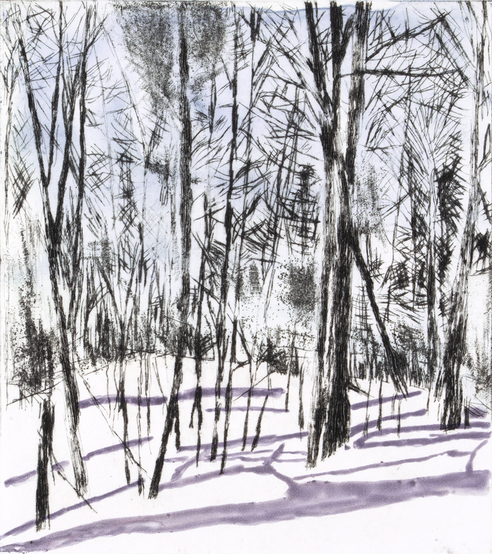 Mqt Mtn Winter II by Sarah Klahn