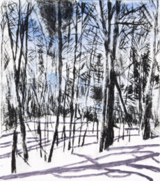 Mqt Mtn Winter I by Sarah Klahn at Oehme Graphics