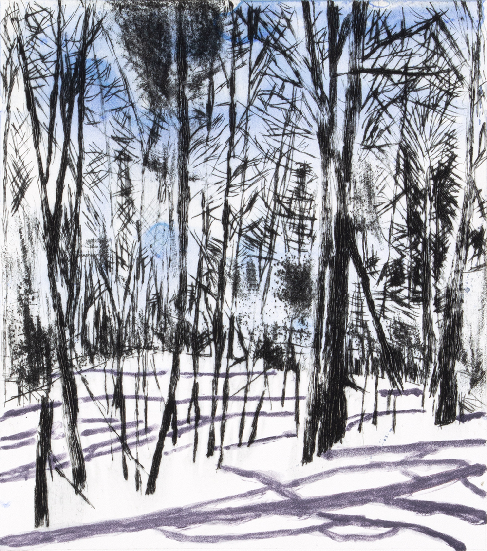 Mqt Mtn Winter I by Sarah Klahn
