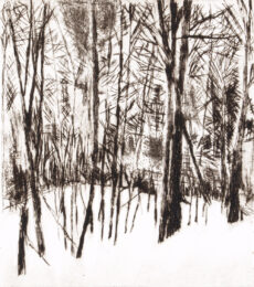 Mqt Mtn by Sarah Klahn at Oehme Graphics