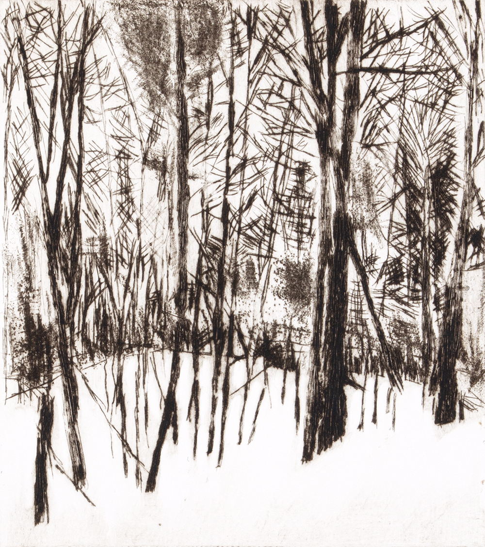 Mqt Mtn by Sarah Klahn