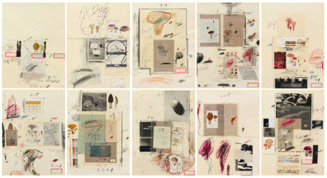 Natural History Part I, Mushrooms by Cy Twombly at Susan Sheehan Gallery