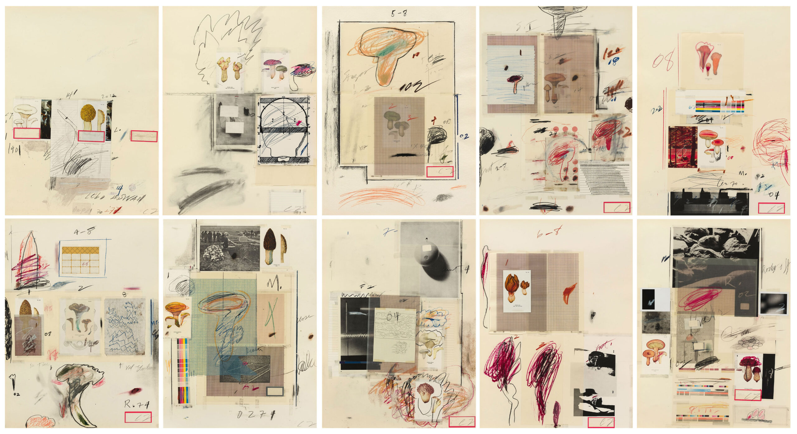 Natural History Part I, Mushrooms by Cy Twombly