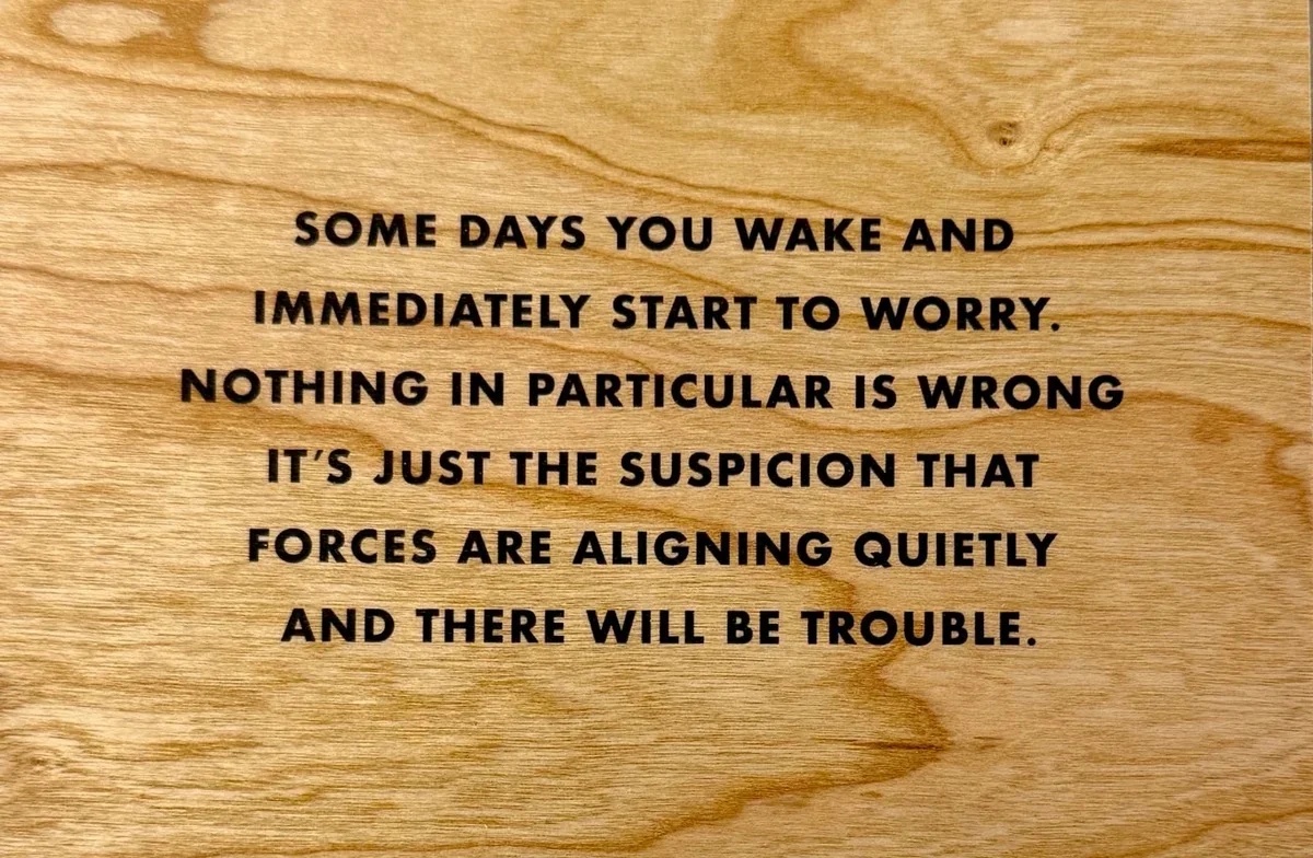 Some Days You Wake and Immediately Start to Worry [Black Text] by Jenny Holzer