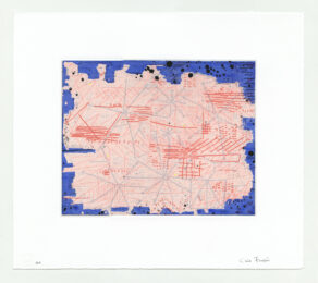 Petal Storm by Chie Fueki at LeRoy Neiman Center for Print Studies