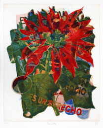 Poinsettia, from Spring Wake, Vol. 1, 2025 by Zorawar Sidhu & Rob Swainston at LeRoy Neiman Center for Print Studies