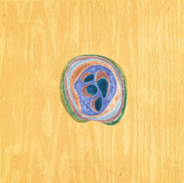 Pop Rocks 13 by Laura Berman at Oehme Graphics