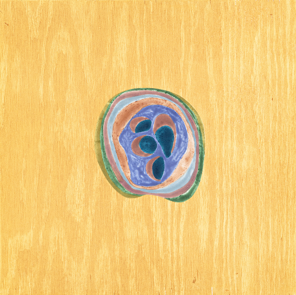 Pop Rocks 13 by Laura Berman