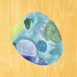 Pop Rocks 16 by Laura Berman at Oehme Graphics