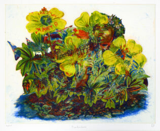 Puakenikeni, from Spring Wake, Vol. 1, 2025 by Zorawar Sidhu & Rob Swainston at LeRoy Neiman Center for Print Studies