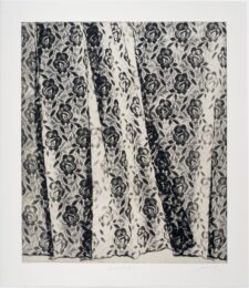 Veronica’s Veil (i) by Rachel Howard at Manifold Editions