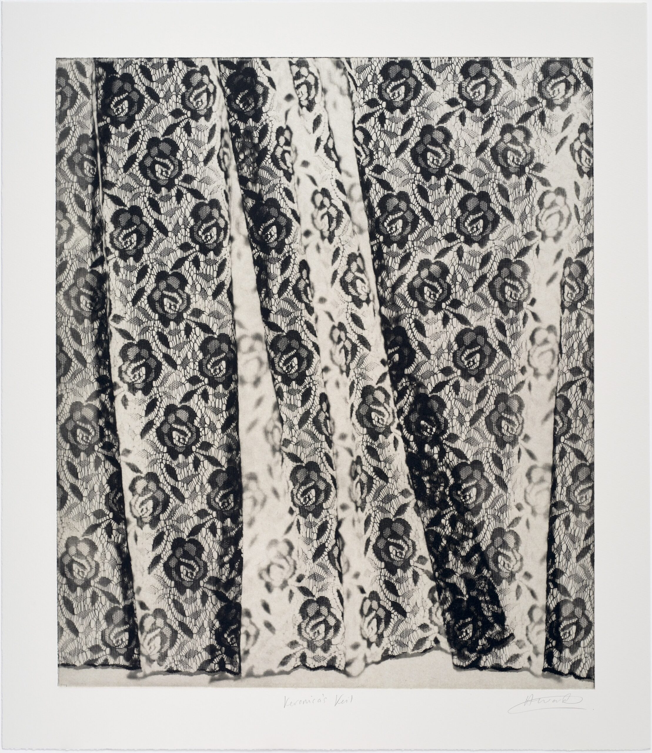 Veronica’s Veil (i) by Rachel Howard