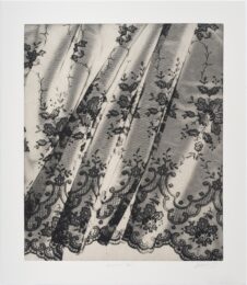 Veronica’s Veil (ii) by Rachel Howard at Manifold Editions