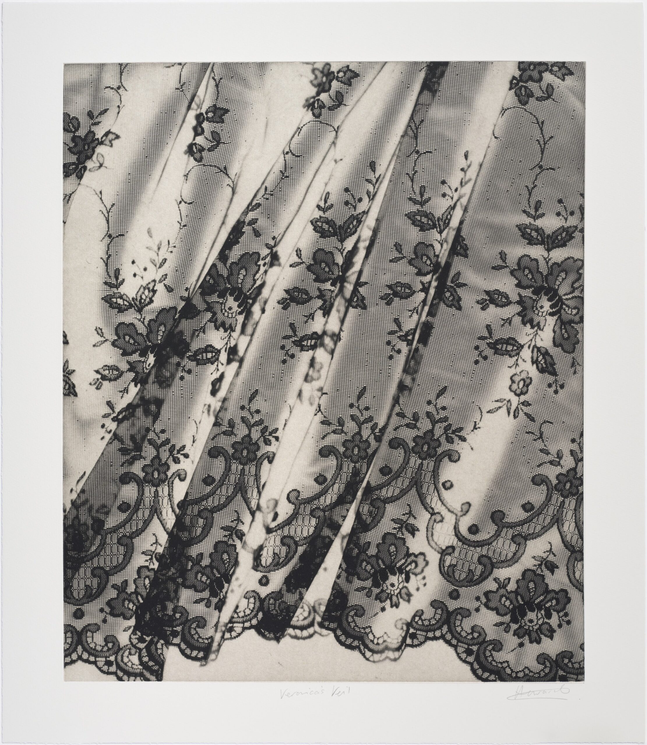 Veronica’s Veil (ii) by Rachel Howard