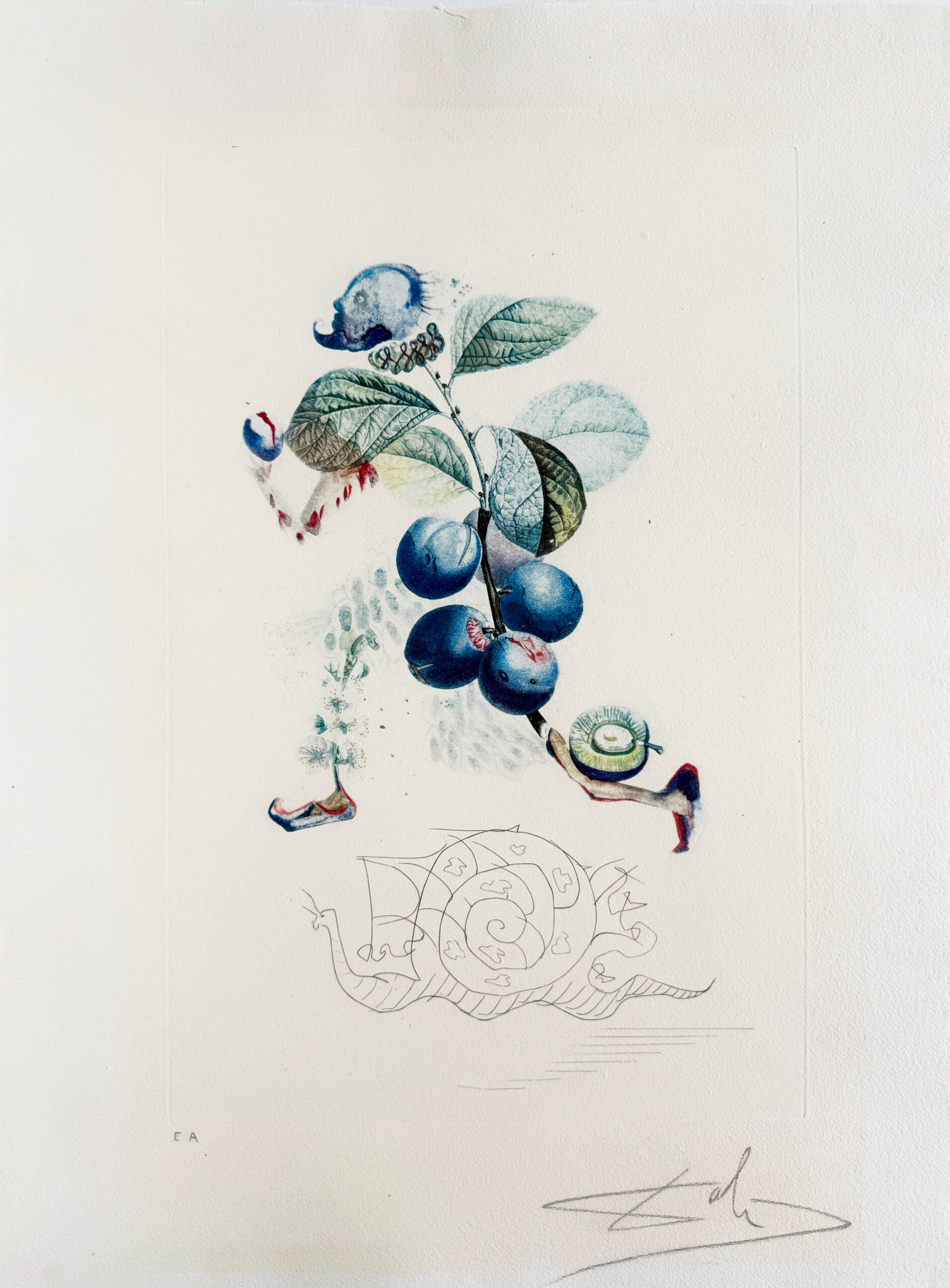 Prunier hâtif (Hurrying Plum-tree) by Salvador Dalí