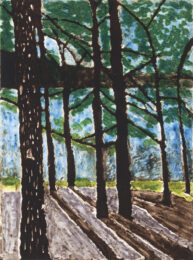 Summer at the Pond by Sarah Klahn at Oehme Graphics