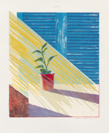 Sun by David Hockney at Susan Sheehan Gallery