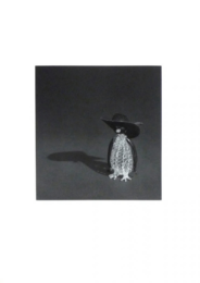 Penguin with a black hat by Liliana Porter at Galería La Caja Negra