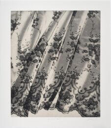 Veronica’s Veil (ii) by Rachel Howard at Manifold Editions