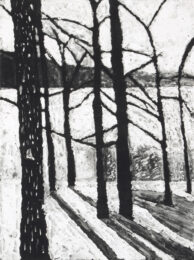 Winter Pond by Sarah Klahn at Oehme Graphics