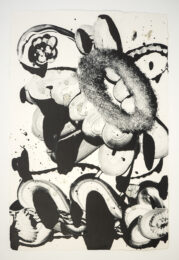 Black Garden D.E. No. 1 by Catherine Howe at Manneken Press (IFPDA)