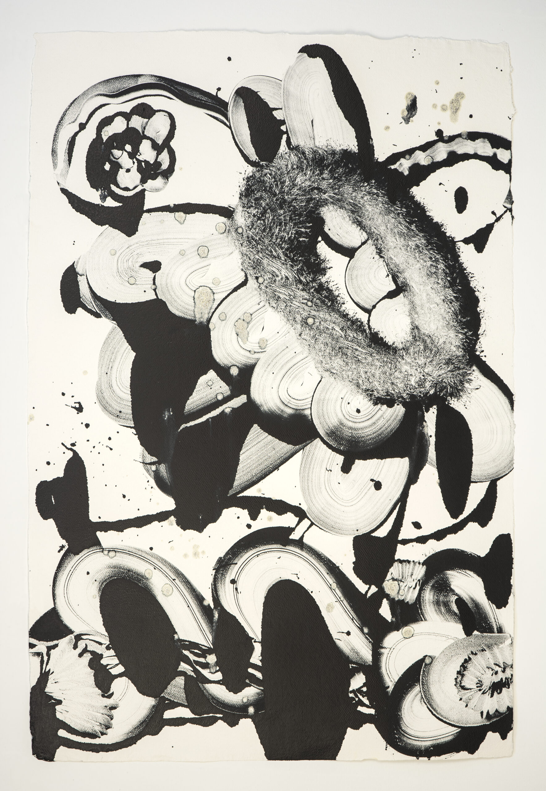Black Garden D.E. No. 1 by Catherine Howe