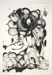Black Garden D.E. No. 2 by Catherine Howe at Manneken Press (IFPDA)