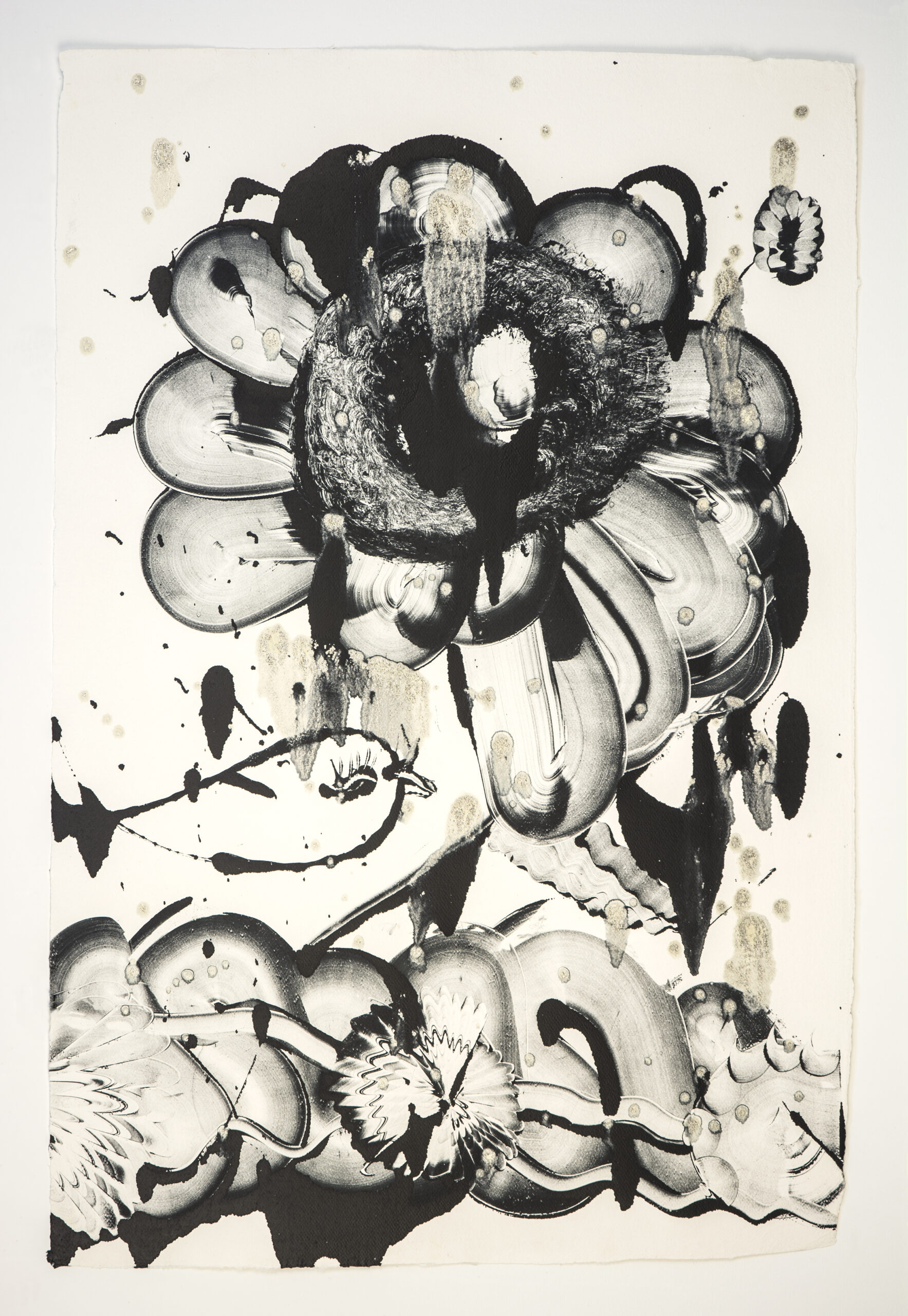 Black Garden D.E. No. 2 by Catherine Howe