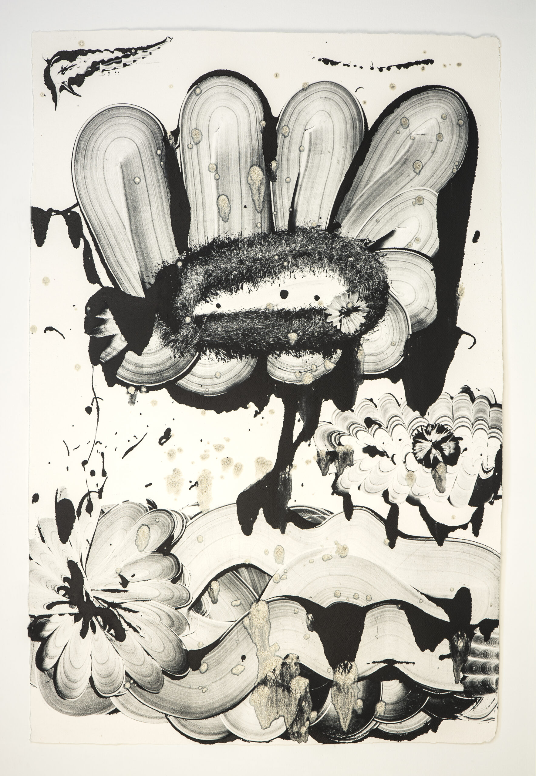 Black Garden D.E. No. 3 by Catherine Howe