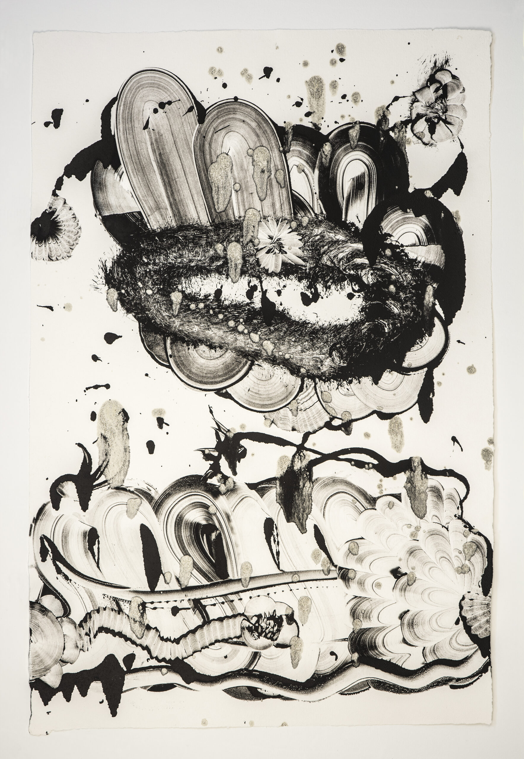 Black Garden D.E. No. 4 by Catherine Howe