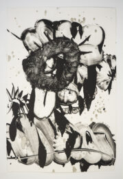 Black Garden D.E. No. 5 by Catherine Howe at Manneken Press (IFPDA)