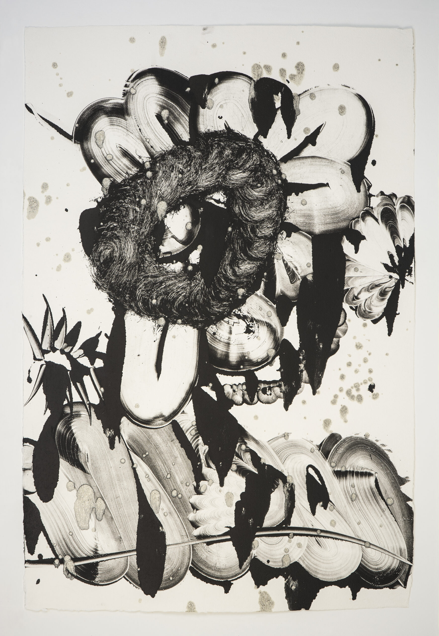 Black Garden D.E. No. 5 by Catherine Howe