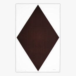 Diamond Brown #2781016 by Olivier Mosset at JRP|Editions