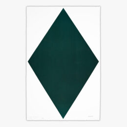 Diamond Green #2781015 by Olivier Mosset at JRP|Editions