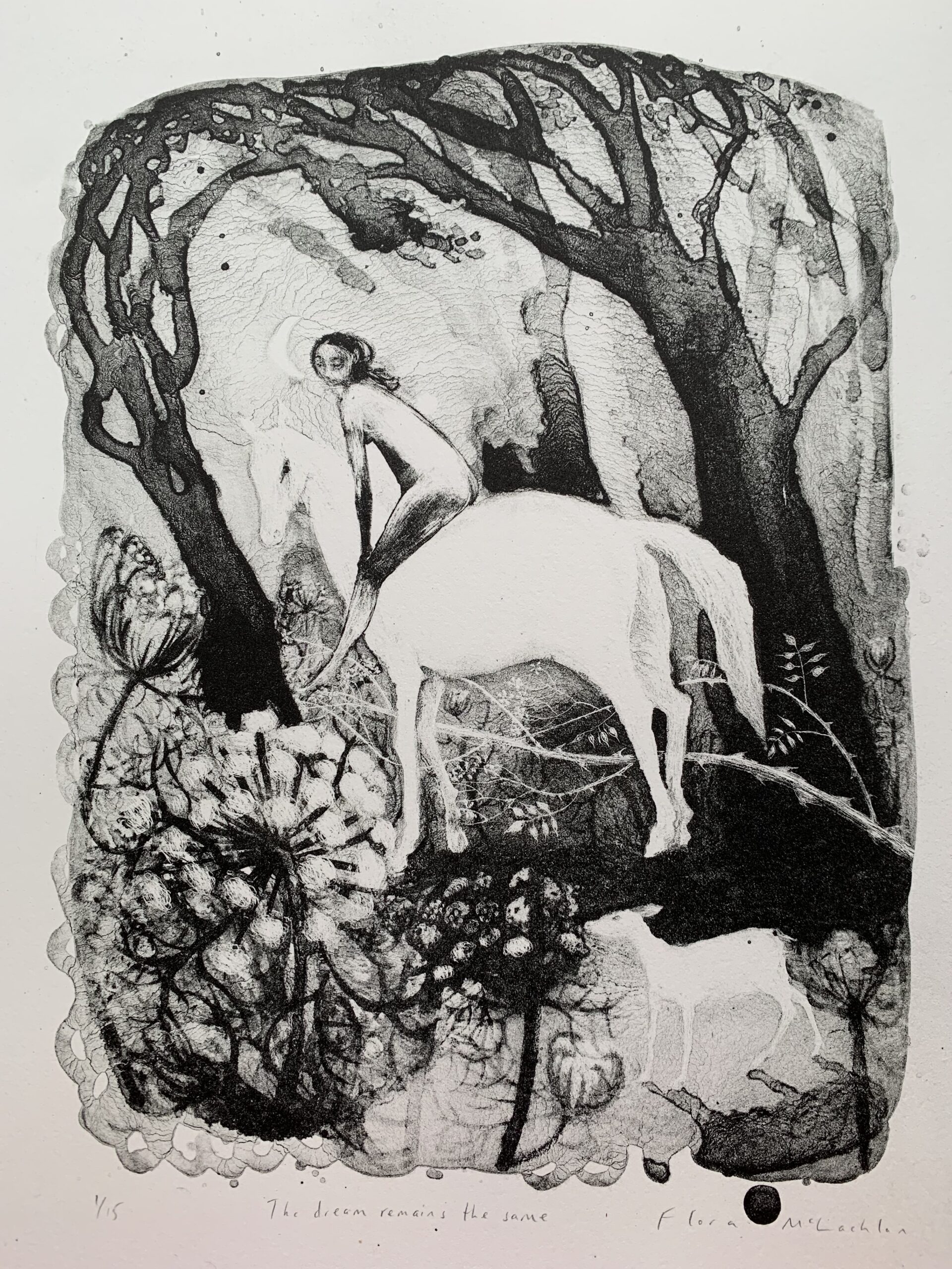The Dream Remains the Same by Flora McLachlan