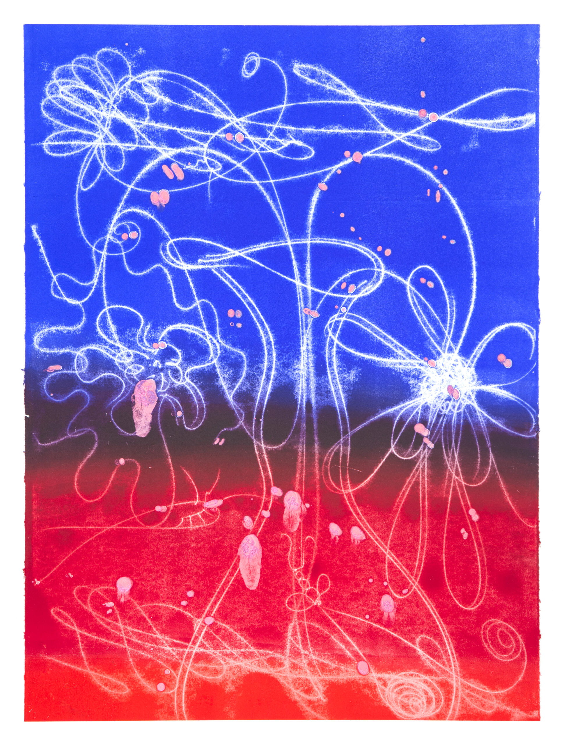 Flower Float No. 13 by Catherine Howe
