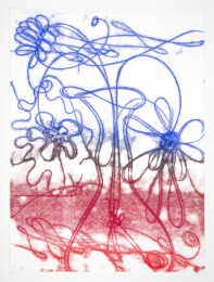 Flower Float No.2 by Catherine Howe at Manneken Press (IFPDA)
