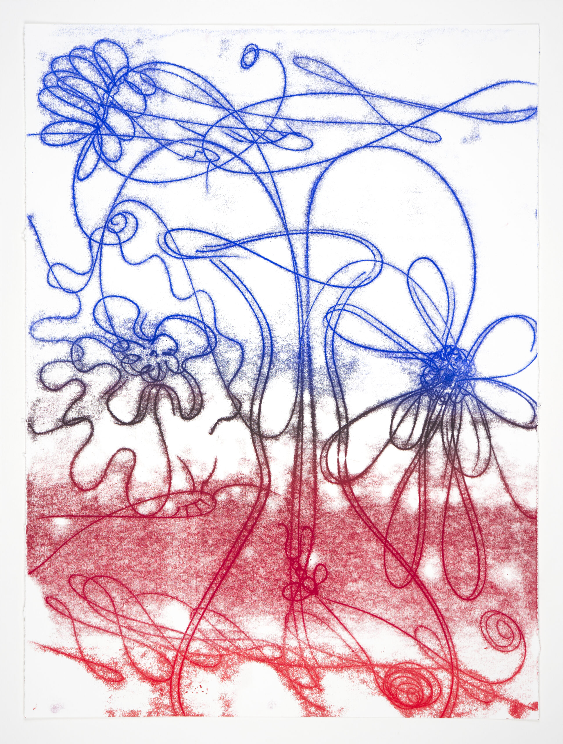 Flower Float No.2 by Catherine Howe